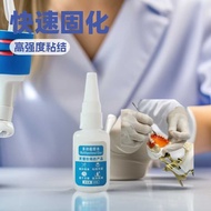 502 Glue Super Glue Sticky Teeth Glue Dental Oral Glue