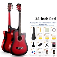 Beginner Acoustic Guitar