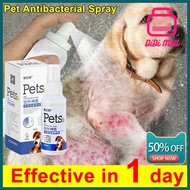 Pet Antimicrobial Spray Pet Skin Treatment Spray Cat Dog Treat Itchy Pet Skin Fleas And Ticks Remove