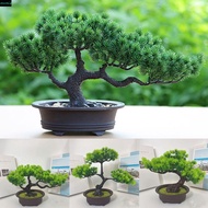 MXMIO Artificial Pine Plants Bonsai, Plastic Handmade Simulation Pine Tree, Fake Plants Realistic Fa