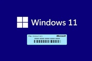 Windows10/11 產品金鑰 ✨專業版 ✨家庭版 ✨企業版