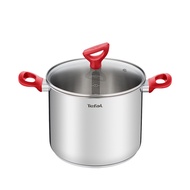 Tefal Edition Red Stainless Steel Induction Stockpot (22cm, 6.0L) Dishwasher Oven Safe No PFOA Silver