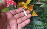 LIONTIN Cantik TARING BUAYA ASLI NATURAL 03 Oleh TUTUL HANDICRAFT