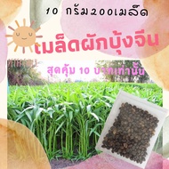 เมล็ดพันธุ์ผัก เมล็ดผักบุ้งจีนใบไผ่ 10 g 200 เมล็ด เมล็ดพันธุ์ผักสวนครัว