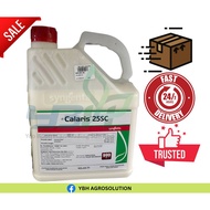 Syngenta Calaris® 25SC 4 Liter / Mesotrione 2.27% + Atrazine 22.73% / Rumput Sambau / Jelamparan