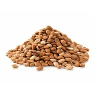 ROASTED APRICOT SEED