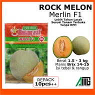 (NEW) MERLIN F1 Rock Melon Manis Benih Bintang Asia
