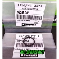 NINJA 150 RR SS CRANKSHAFT SEAL