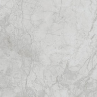 Essenza Himalaya White 60 X 60 Granit 