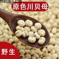 Chuan Fritillaria 100g Chuan Fritilla Cough Material Fritilla #1.12