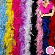 C3S 2M Costume Feather Boa Strip DIY Craft Grament Accessaries Feathers Fluffy Party Decoration Part