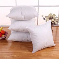 Sofa cushions | Chair Cushion | Living Room Pillow | Size 40x40cm | Insert Insert