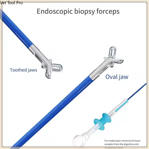 5 pieces biopsy forceps, 1.8mm biopsy forcep, 2.3mm Disposable Endoscopic Forcep, Clinic Disposable 
