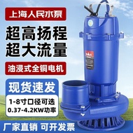 Shanghai People's Press Submersible Pump220VGao Yangcheng Large Traffic Pump380VVoltage of Large Flow Water Pump for Farmland Irrigation220V  BE20