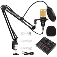 Best Selling Complete Package of BM800 Mic Foam Stand BM800 Mic Soundcard Mixer V8 SALE