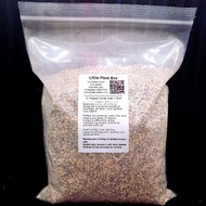 Premium Succulent & Cactus Soil Mix 1L | Pumice Kanuma Akadama | Fast Draining Mix for Haworthia Gym