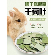 Rabbit Cooling Handy Tool Igloo Ice Pad Rabbit Nest Summer Igloo Ice Box Pet Cooling Handy Tool My N