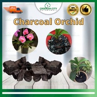 GNC Charcoal BBQ Charcoal Arang Orkid Hidup Activated Carbon Charcoal Bunga Pokok Arang Kayu Bakau A