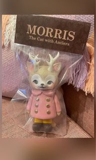 角貓 Morris