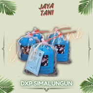 Benih bibit Kecambah Sawit ppks DxP Simalungun benih unggul Redy pelepah panjang dan pelepah pendek