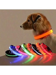 LED燈寵物項圈適用於夜晚步行合適的適用於小和中等的小狗