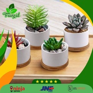Pot keramik mini ukuran 10 / pot unik lucu/ pot untuk tanaman sekulen/ pot tanaman mini