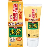 生葉齒槽膿漏潔淨牙膏 100g 牙齦緊緻牙膏 -72752 (平行進口)