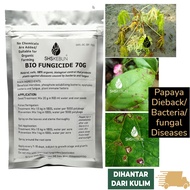 Bio Fungicide for Plants 70g Racun Kulat Pokok Durian 复合菌 青枯病 益菌肥 植物益菌 Baja Durian Racun Kulat Organik SHS Kebun