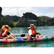 LANGKAWI : KILIM MANGROVE KAYAKING