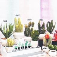 Fake cactus Nordic Style with Box min Fejka Pot Instagram Insta Raya Kaizen Ikea Pokok Tiru Meja Tab
