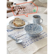 Flat Plate Yogurt Bowl Oatmeal Oatmeal Baby Blue Fruit Korean Style Mug ins Style Influencer Enamel 