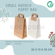 Paper Bag Small Handle 20x10x30cm Gift Bag (10 PCS)