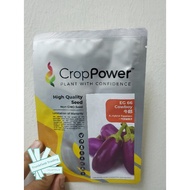 Benih Terung Mutiara Crop Power Cowboy EG66 F1 Hybrid (REPACK) 15 biji/50 biji/104 biji