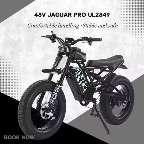 Electric bicycle 1500W motor 48V18AH Lithium battery E bike 20-inch tires full suspension sports mou