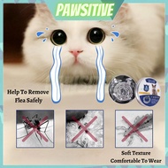 PAWSITIVE Anti Flea Collar Cat Flea Collar For Cat/Rantai Kutu Kucing/Rantai Kucing Anti Kutu/Kolar 