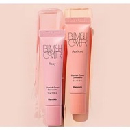 現貨‼️韓國Hanskin Blemish Cover Concealer遮瑕膏 12g (2色號選擇)