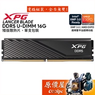 ADATA XPG LANCER BLADE DDR5 5600 6000 [16GB] Memory/Original Price House