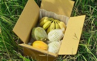 【高雄田寮 自然甜味有機綜合水果箱 6斤裝】芭樂、芭蕉、木瓜 一箱滿足小家庭一週的水果營養