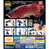 {Vic Toy} BANDAI Capsule Toy Biological Illustrated Book-Ancient Fish Chapter Arowana Activated Foss