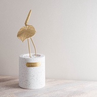 【植系列】圓葉花燭 黃銅小盆栽 x 擴香 Anthurium Clarinervium