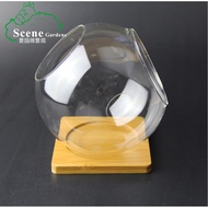 Glass bridge with 02 open mouths to decorate miniatures and bonsai