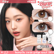คอนแทคเลนส์ Fay Brown / Gray (Kitty Kawaii) ขนาดมินิ 🌷 ลายฮิต สุดปังในเกาหลี