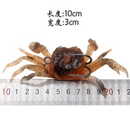 Soft Lure Crab Jig Head – Realistic Crab Soft Bait Fishing Bait