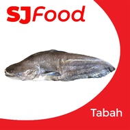 SJ Food Fresh Frozen Tapah 3.5-3.8KG