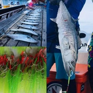 assist hook tenggiri