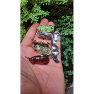 September Frog BRANTAZ 3.5cm HOOK no.1