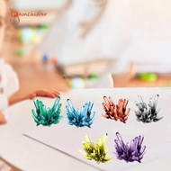 gamchiano Crystals Science Kit Crystal Crafts Toys Specimens Identification Science Experiment Kit C