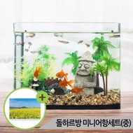 Dolhareubang Mini Fish Tank Set (Medium) Glass Aquarium Set