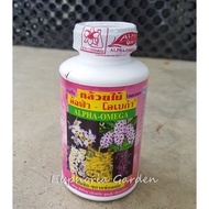 Alpha Omega_Baja Orkids Thailand_Foliar Fertilizer_Baja Bunga_Flowering