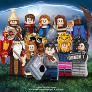 LEGO 71028 Harry Potter Minifigure Series 2
